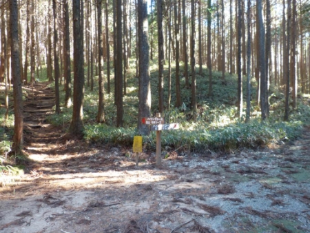 画像17